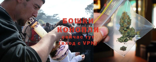 дмт Дмитриев