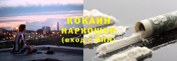 дмт Дмитриев