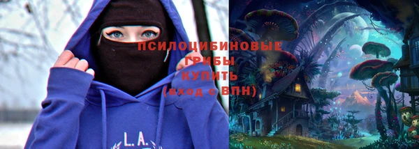 дмт Дмитриев