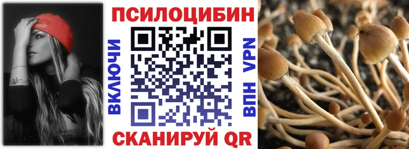 Псилоцибиновые грибы мухоморы  Купить  Чердынь 
